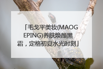 毛戈平美妆(MAOGEPING)养肤焕颜黑霜，定格初夏水光时刻
