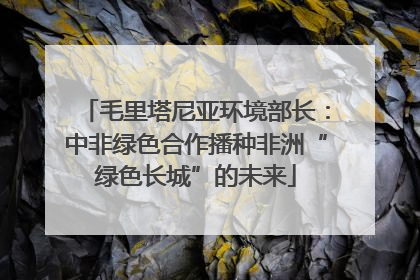 毛里塔尼亚环境部长：中非绿色合作播种非洲“绿色长城”的未来
