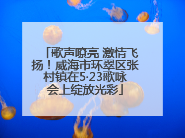 歌声嘹亮 激情飞扬！威海市环翠区张村镇在5·23歌咏会上绽放光彩