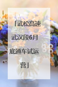 武松高速武汉段6月底通车试运营