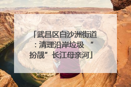 武昌区白沙洲街道：清理沿岸垃圾 “扮靓”长江母亲河