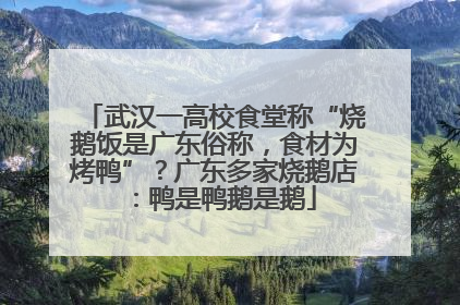 武汉一高校食堂称“烧鹅饭是广东俗称，食材为烤鸭”？广东多家烧鹅店：鸭是鸭鹅是鹅
