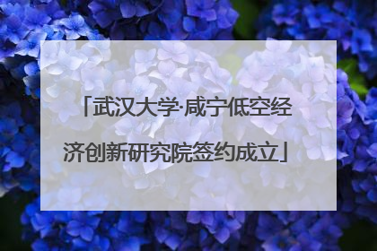 武汉大学·咸宁低空经济创新研究院签约成立