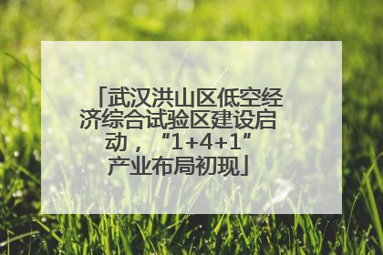 武汉洪山区低空经济综合试验区建设启动，“1+4+1”产业布局初现