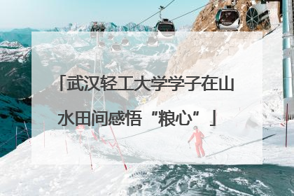 武汉轻工大学学子在山水田间感悟“粮心”