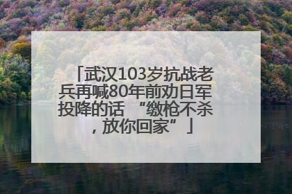 武汉103岁抗战老兵再喊80年前劝日军投降的话 “缴枪不杀，放你回家”