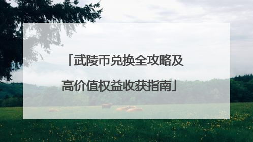 武陵币兑换全攻略及高价值权益收获指南