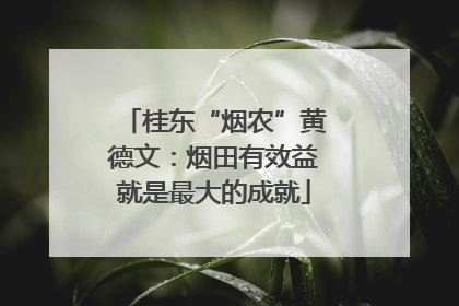 桂东“烟农”黄德文：烟田有效益就是最大的成就