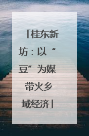 桂东新坊：以“豆”为媒 带火乡域经济