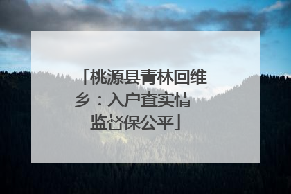 桃源县青林回维乡：入户查实情 监督保公平