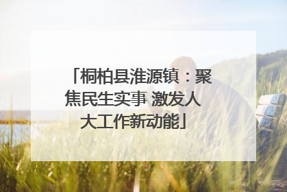 桐柏县淮源镇：聚焦民生实事 激发人大工作新动能