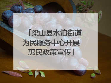 梁山县水泊街道为民服务中心开展惠民政策宣传