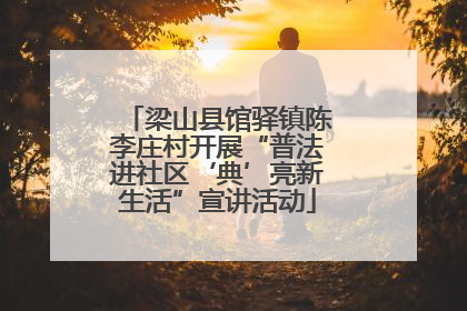 梁山县馆驿镇陈李庄村开展“普法进社区‘典’亮新生活”宣讲活动