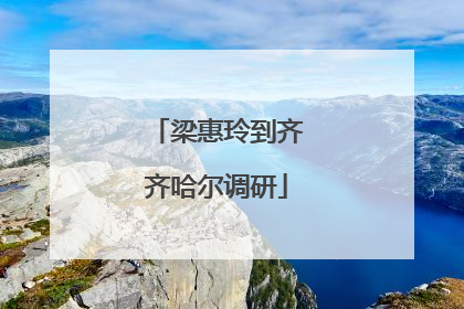 梁惠玲到齐齐哈尔调研