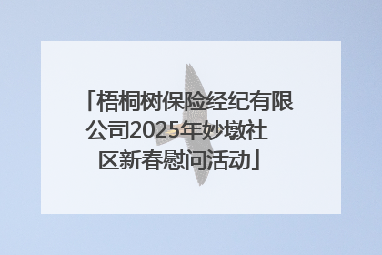 梧桐树保险经纪有限公司2025年妙墩社区新春慰问活动