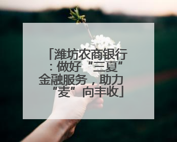 潍坊农商银行：做好“三夏”金融服务，助力“麦”向丰收