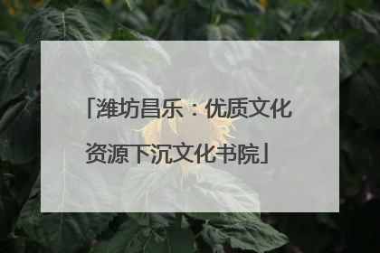 潍坊昌乐：优质文化资源下沉文化书院