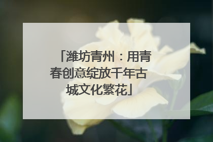 潍坊青州：用青春创意绽放千年古城文化繁花