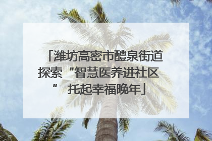 潍坊高密市醴泉街道探索“智慧医养进社区” 托起幸福晚年