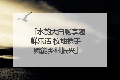 水韵大白畅享趣鲜乐活 校地携手赋能乡村振兴