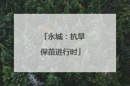 永城：抗旱保苗进行时
