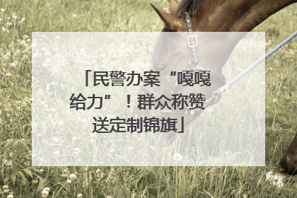 民警办案“嘎嘎给力”！群众称赞送定制锦旗
