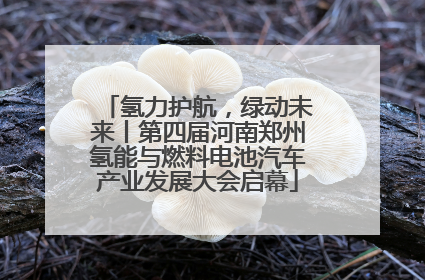氢力护航，绿动未来丨第四届河南郑州氢能与燃料电池汽车产业发展大会启幕