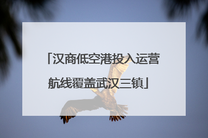 汉商低空港投入运营 航线覆盖武汉三镇