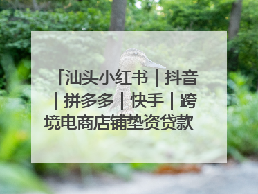汕头小红书｜抖音｜拼多多｜快手｜跨境电商店铺垫资贷款企业-漫商易