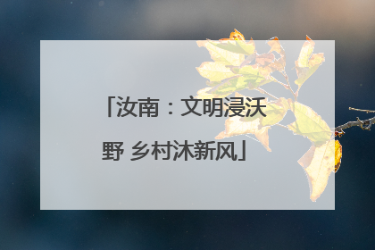 汝南：文明浸沃野 乡村沐新风