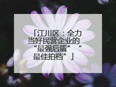 江川区：全力当好民营企业的“最强后盾”“最佳拍档”
