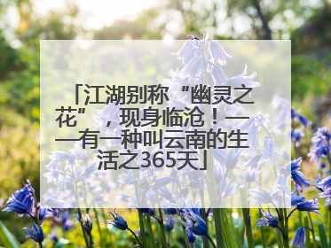 江湖别称“幽灵之花”，现身临沧！——有一种叫云南的生活之365天