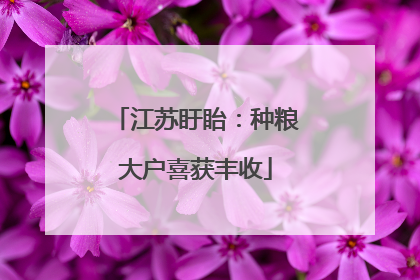 江苏盱眙：种粮大户喜获丰收