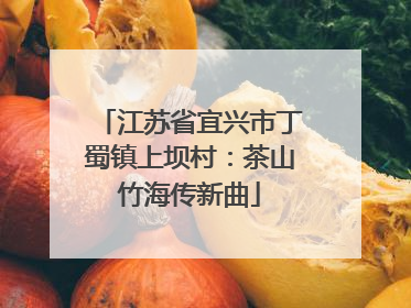 江苏省宜兴市丁蜀镇上坝村：茶山竹海传新曲