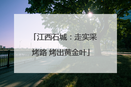 江西石城：走实采烤路 烤出黄金叶
