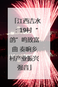 江西吉水：19村“鸽”鸣致富曲 奏响乡村产业振兴强音