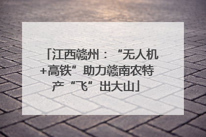江西赣州：“无人机+高铁”助力赣南农特产“飞”出大山