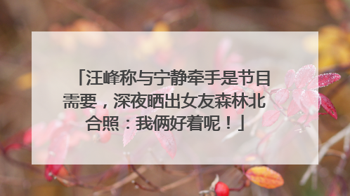 汪峰称与宁静牵手是节目需要，深夜晒出女友森林北合照：我俩好着呢！