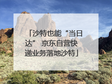 沙特也能“当日达” 京东自营快递业务落地沙特