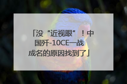 没“近视眼”！中国歼-10CE一战成名的原因找到了