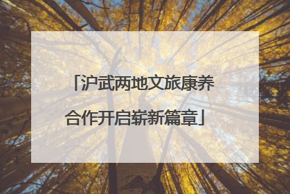 沪武两地文旅康养合作开启崭新篇章