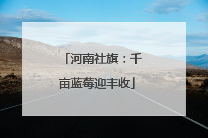 河南社旗：千亩蓝莓迎丰收