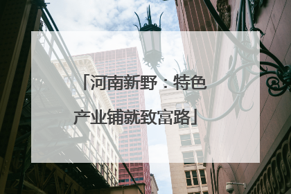 河南新野：特色产业铺就致富路