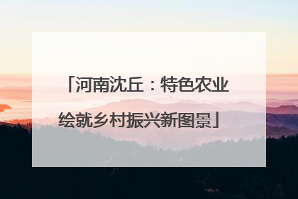 河南沈丘：特色农业绘就乡村振兴新图景