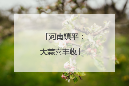 河南镇平：大蒜喜丰收