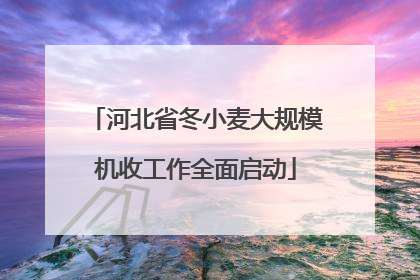 河北省冬小麦大规模机收工作全面启动