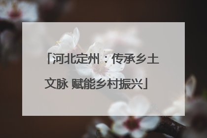河北定州：传承乡土文脉 赋能乡村振兴