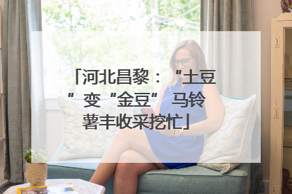 河北昌黎：“土豆”变“金豆” 马铃薯丰收采挖忙