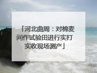 河北曲周：对棉麦间作试验田进行实打实收现场测产