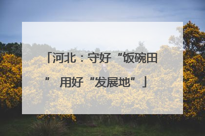 河北：守好“饭碗田” 用好“发展地”